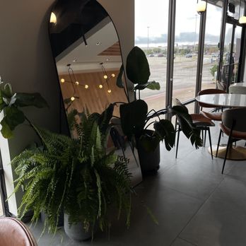 Mille Cafe - Cafes Near Me - Friendswood, Texas Mille Cafe - Cafes Near Me - Friendswood, Texas