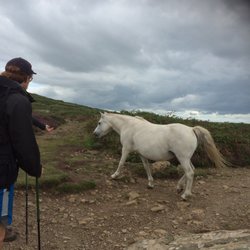 St. David's Head - Three horses walked right past us on the path!