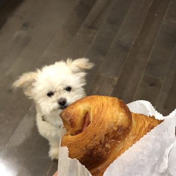 Arsicault Bakery - Ham&cheese croissant - Bakeries Near Me - San Francisco, California Arsicault Bakery - Ham&cheese croissant - Bakeries Near Me - San Francisco, California