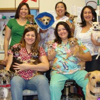 Bear Canyon Pet Clinic - untitled - Veterinarians Near Me - Tucson, Arizona Bear Canyon Pet Clinic - untitled - Veterinarians Near Me - Tucson, Arizona