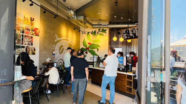 Bird Rock Coffee Roasters - Torrey Pines by null
