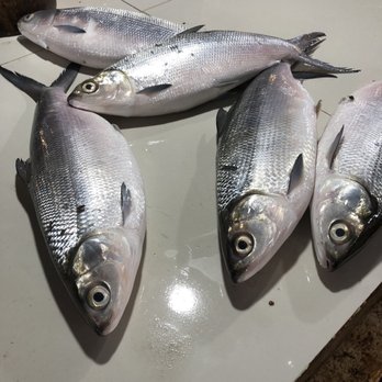 D'Talipapa Seafood Market - Seafood Markets Near Me - Malay, ABR