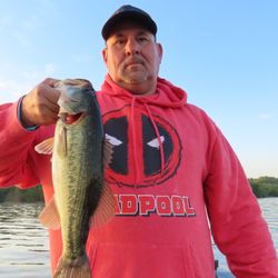 Fish Lake Guntersville Guide Service