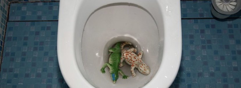 Slide of J R Drain Cleaning