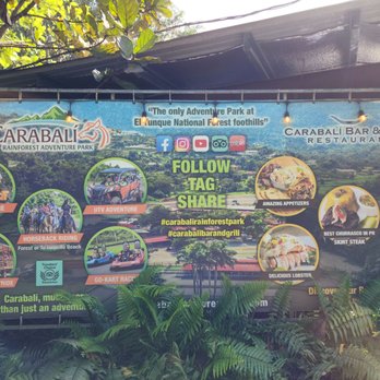 Carabali Rainforest Park - So many things to do for everyone - Horseback Riding Near Me - Luquillo, Puerto Rico