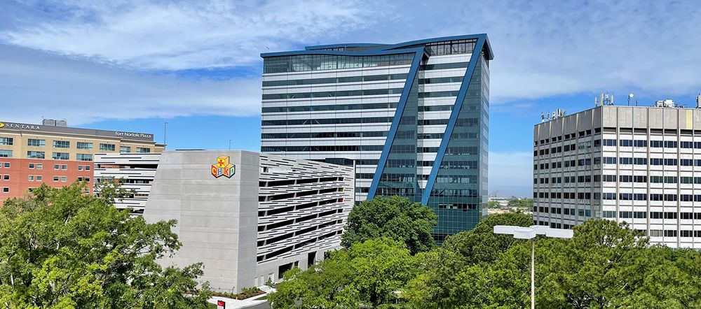 Children's Pavilion - grief counselor in Norfolk, VA