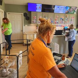 Naju Boarding & Grooming