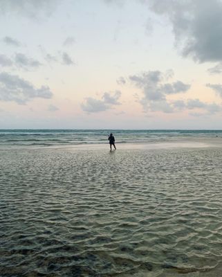 Punaluʻu Beach by null