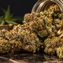 Fridley Dispensary
