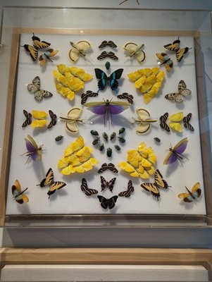 Canadian Museum of Nature / Musée canadien de la nature by null