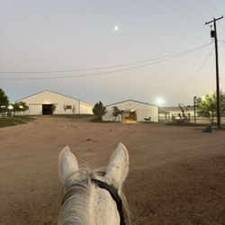 Photo of me on my horse