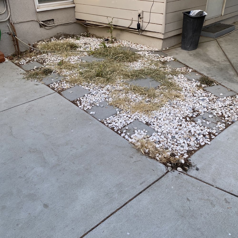 Turf Express - Weeds weed weeds - Artificial Turf Near Me - Los Angeles, California