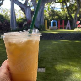 Pineapple and coconut milk