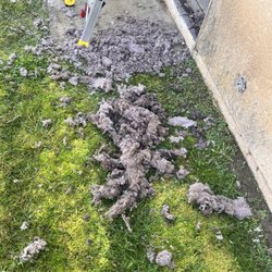 The Clean Air People - Dryer Vent Lint