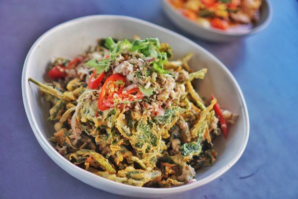 14/69 Mitchell St by null