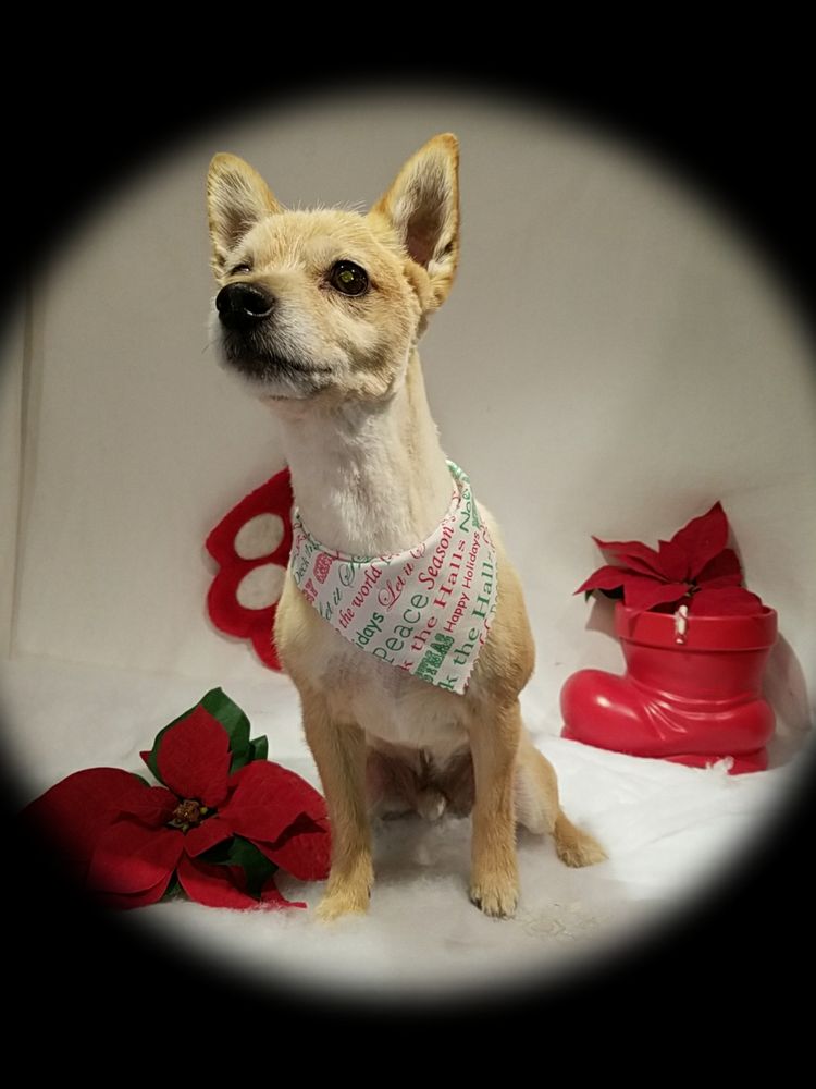 FUR N FEATHERS PETS Updated May 2024 16 Photos 1219 Menomonie St