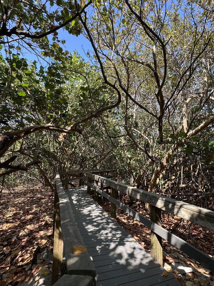 South Beach Park Image