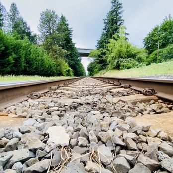 Columbia Springs - A still photo of the tracks across the street from the hatchery - Special Education Near Me - Vancouver, Washington Columbia Springs - A still photo of the tracks across the street from the hatchery - Special Education Near Me - Vancouver, Washington