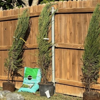 Garden Goods Direct - Day of delivery. Curling tips, browning spots - Nurseries & Gardening Near Me - BOWIE, Maryland Garden Goods Direct - Day of delivery. Curling tips, browning spots - Nurseries & Gardening Near Me - BOWIE, Maryland