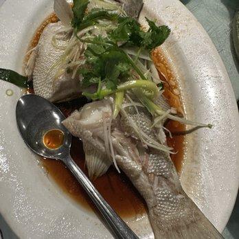 Won Kok Restaurant - Chinese Near Me - San Francisco, California Won Kok Restaurant - Chinese Near Me - San Francisco, California