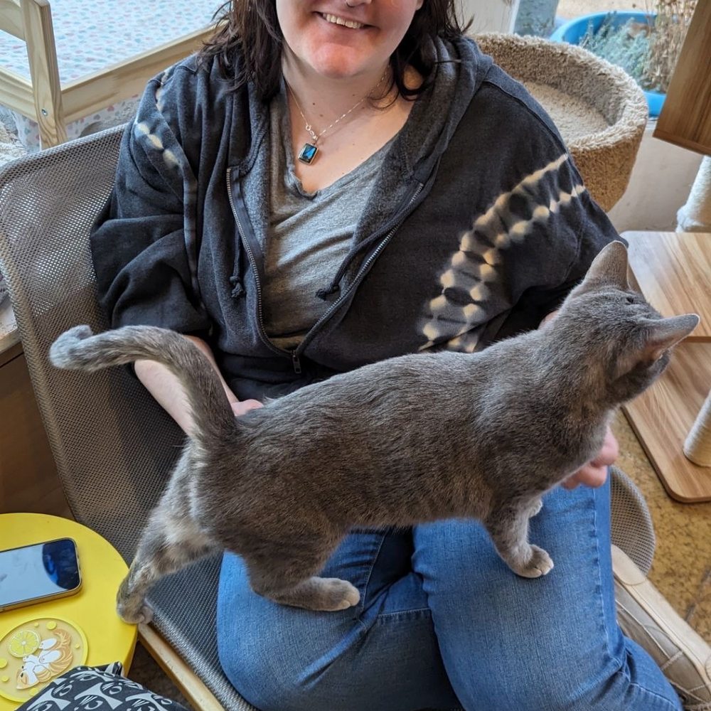 Me and a sweet momma kitty Me and a sweet momma kitty