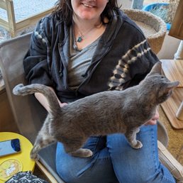 Me and a sweet momma kitty