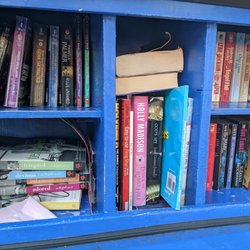 Little Free Library - Little Free Library, Jaycee Park, Cape Coral