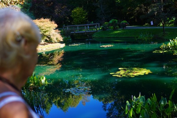 Gibbs Gardens by null