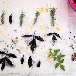 Better Than Jam's Studio - Dyeing with Nature Workshop