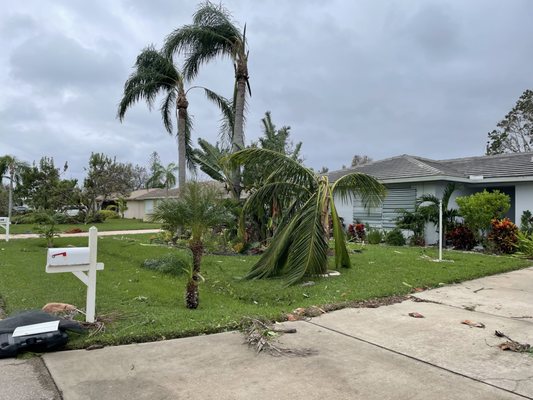 Shirley’s Home Inspection