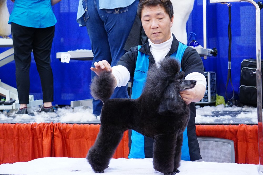 PAWRADISE GROOMING Updated August 2024 715 Photos & 361 Reviews