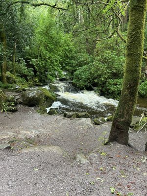 Torc Waterfall by null