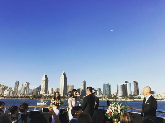 City Cruises by null