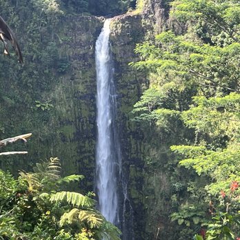 Akaka Falls State Park - Parks Near Me - Honomu, Hawaii Akaka Falls State Park - Parks Near Me - Honomu, Hawaii