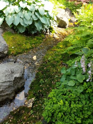 Kasugai Gardens by null