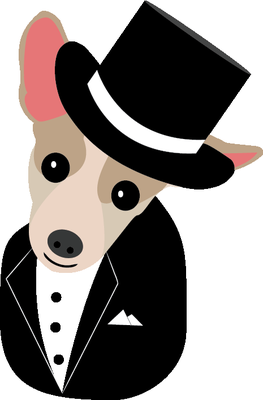 dapper dog grooming salon