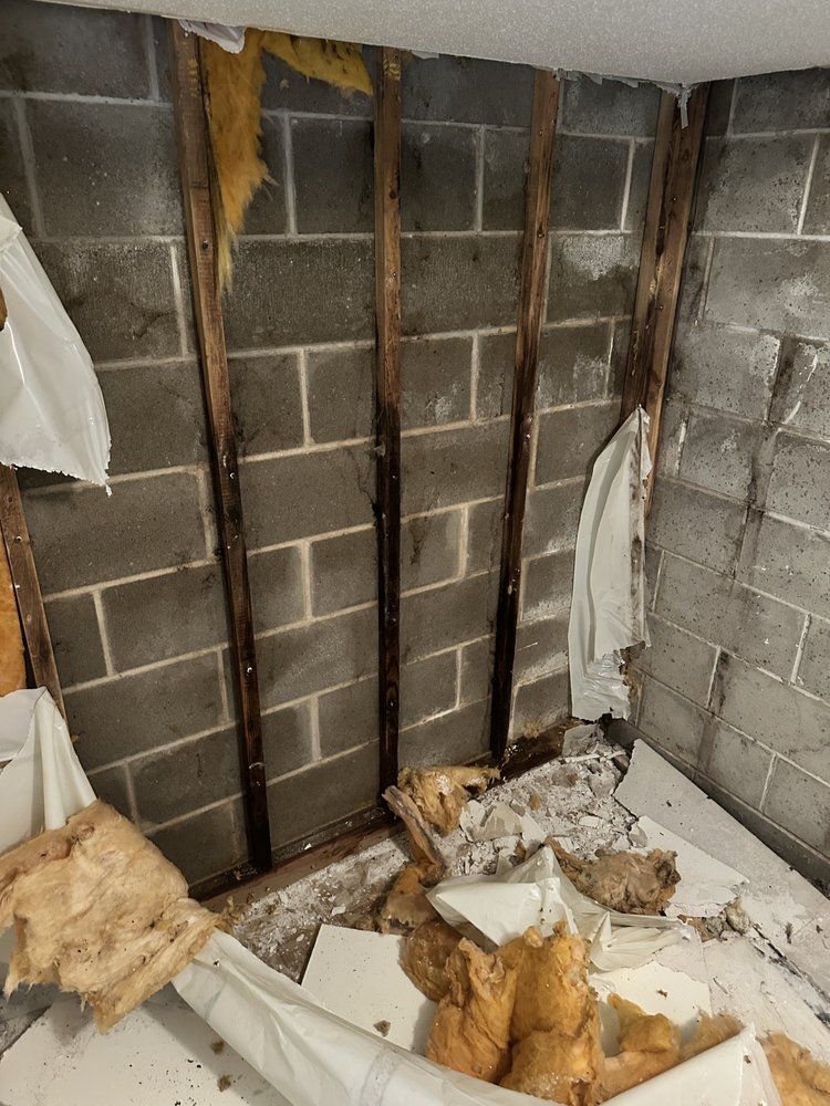 Mold Away - mold inspector in Ramsey, MN