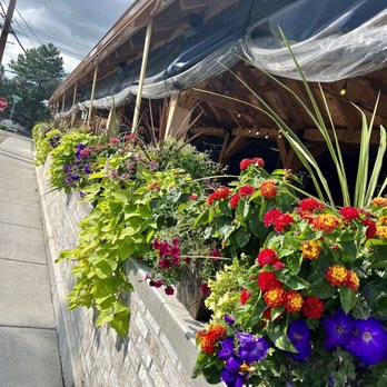 Prescott's Provisions - Beautiful flowers lining the restaurant's patio - New American Near Me - Tonawanda, New York Prescott's Provisions - Beautiful flowers lining the restaurant's patio - New American Near Me - Tonawanda, New York