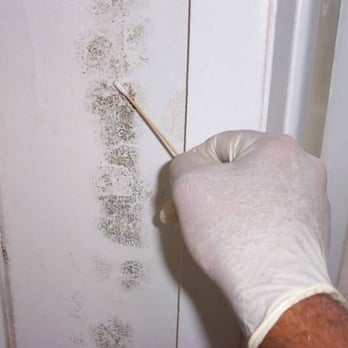 Northern Environmental Development Inc - Home Inspectors Near Me - Chicago, Illinois Northern Environmental Development Inc - Home Inspectors Near Me - Chicago, Illinois