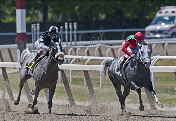 Belmont Park by null
