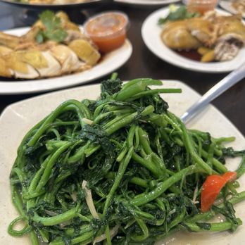 Penang - Veggies - Malaysian Near Me - Waltham, Massachusetts Penang - Veggies - Malaysian Near Me - Waltham, Massachusetts
