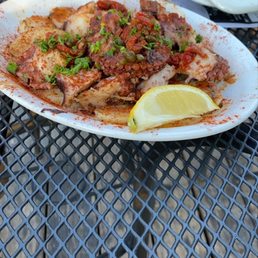 Calamari