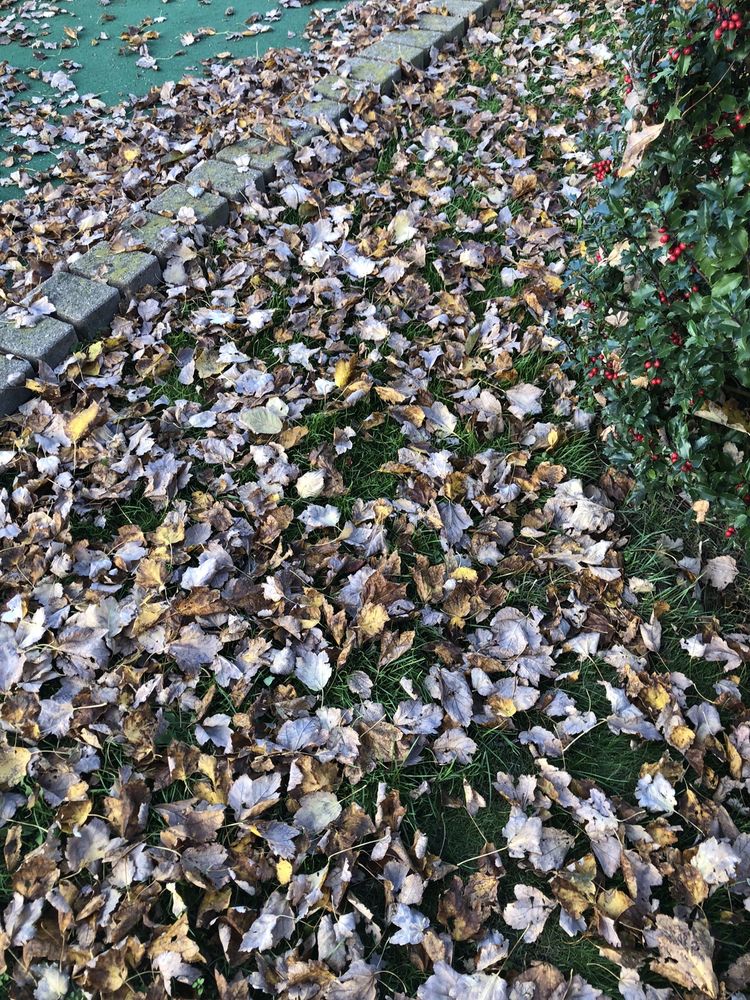 FLUSHING MEADOWS GOLF CENTER 99 Photos & 72 Reviews Golf 100