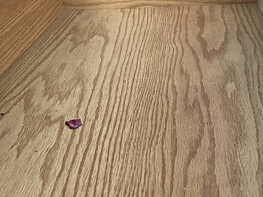 Travelodge by Wyndham Bishop by null