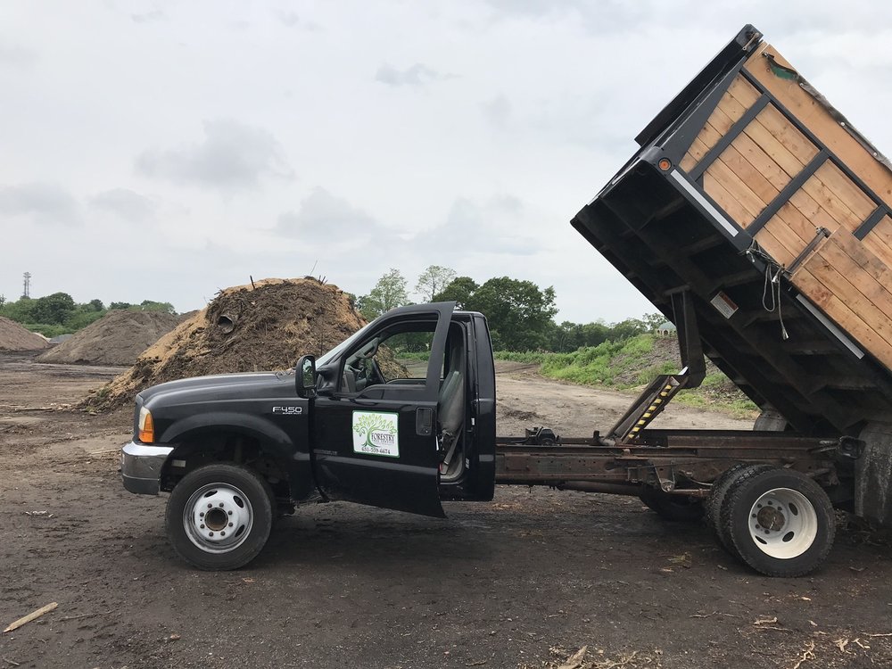 FORESTRY TREE SERVICE Updated September 2024 Request a Quote 19