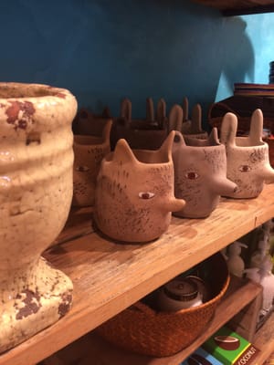Anthropologie by null