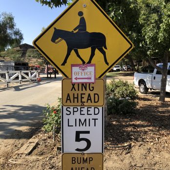 California Ranch Company - Horseback Riding Near Me - Temecula, California California Ranch Company - Horseback Riding Near Me - Temecula, California