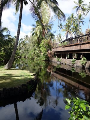 Coco Palms Resort by null