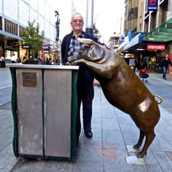 The Mall's Pigs - Zdravko with Oliver