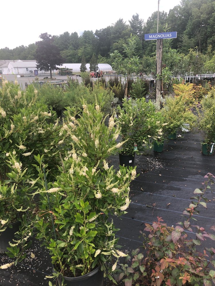 GARDENER’S SUPPLY Updated July 2024 13 Photos & 13 Reviews 220 Mechanic St, Lebanon, New